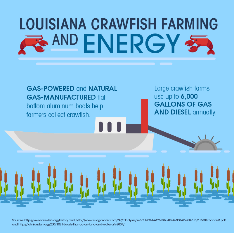 API Louisiana Energy and Good Eating on the Bayou